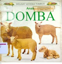 Anak Domba